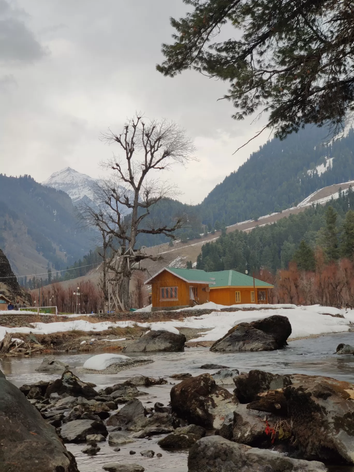 Photo of Kashmir By Anvita Shukla