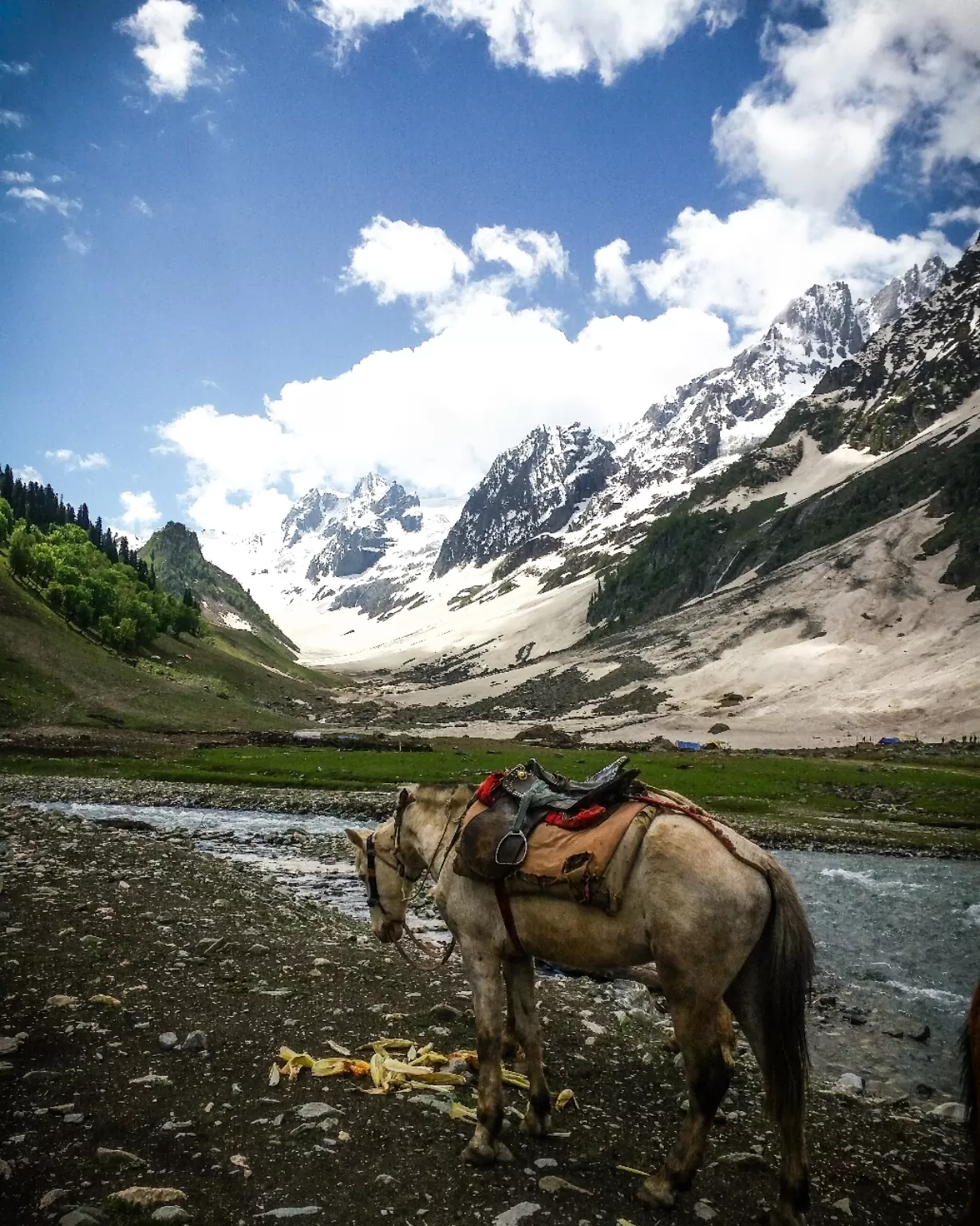 Photo of Sonamarg By Thewanderingsoul