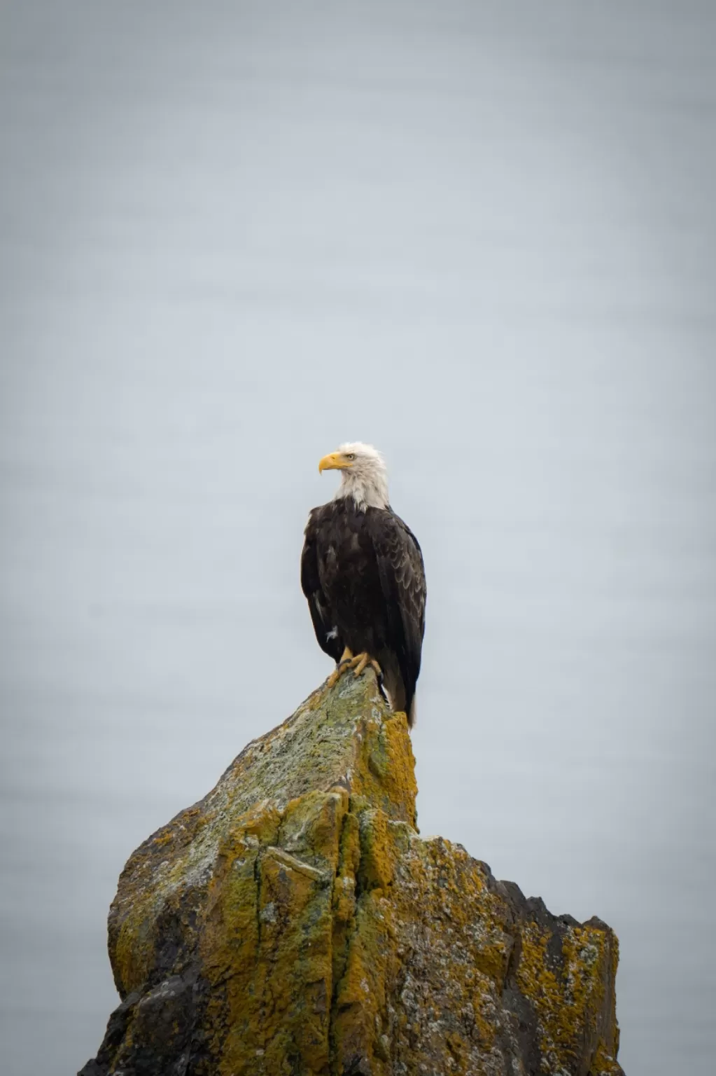 Photo of Juneau By Jim Dias