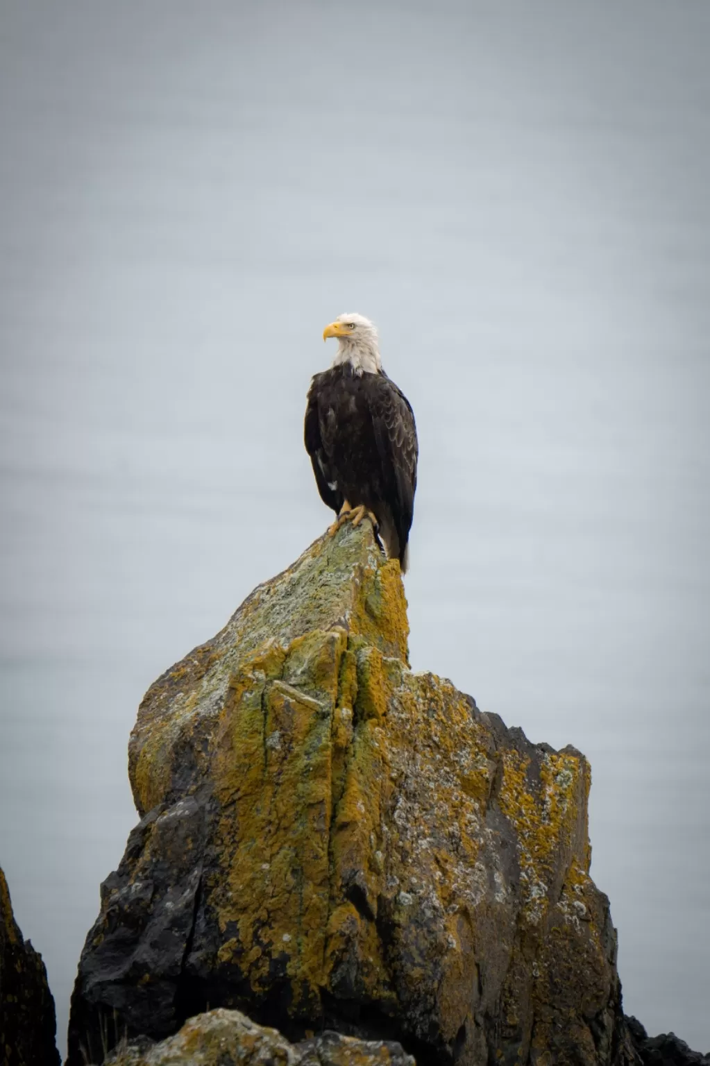 Photo of Juneau By Jim Dias