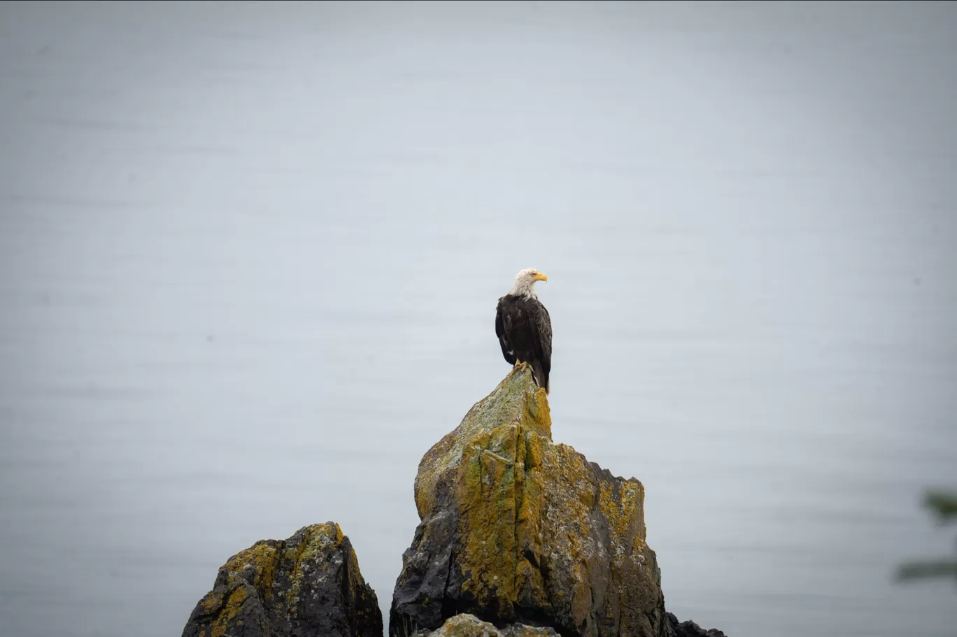 Photo of Juneau By Jim Dias