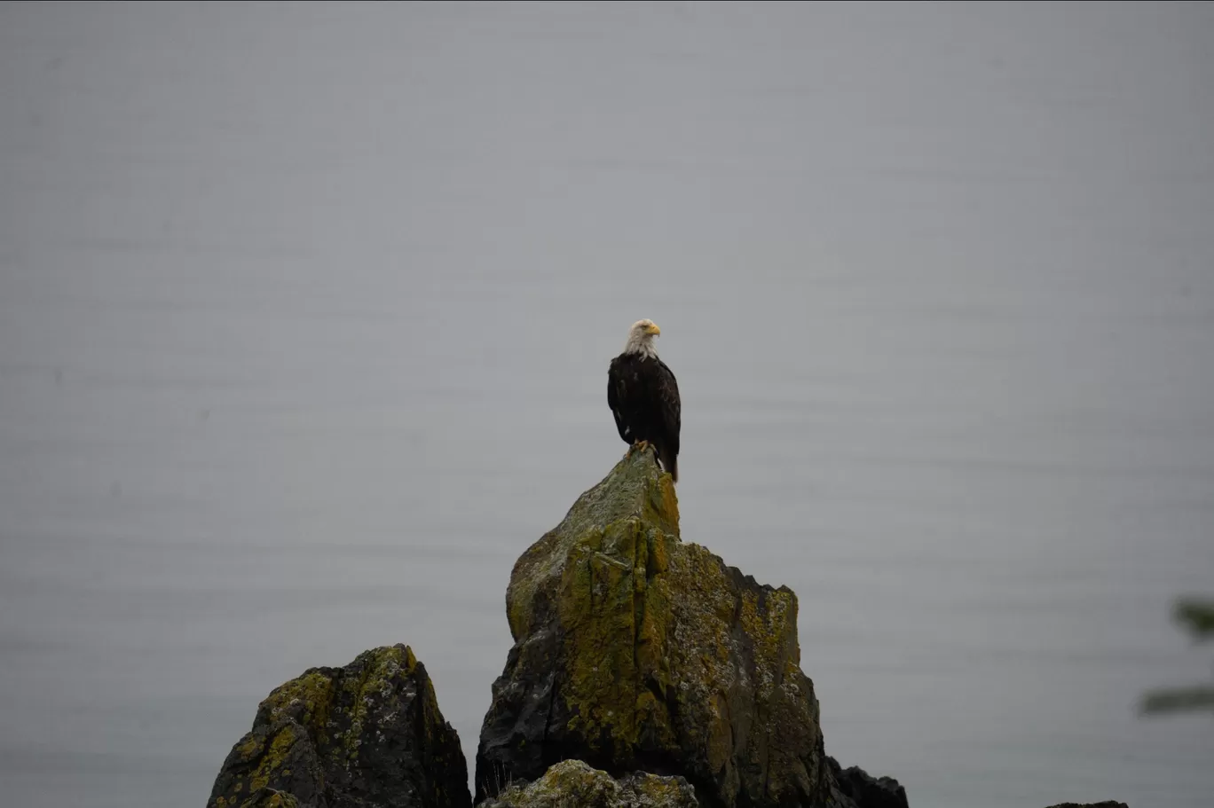 Photo of Juneau By Jim Dias