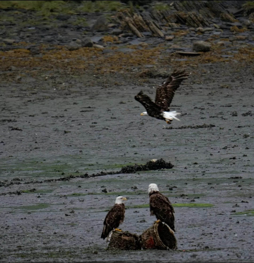 Photo of Juneau By Jim Dias