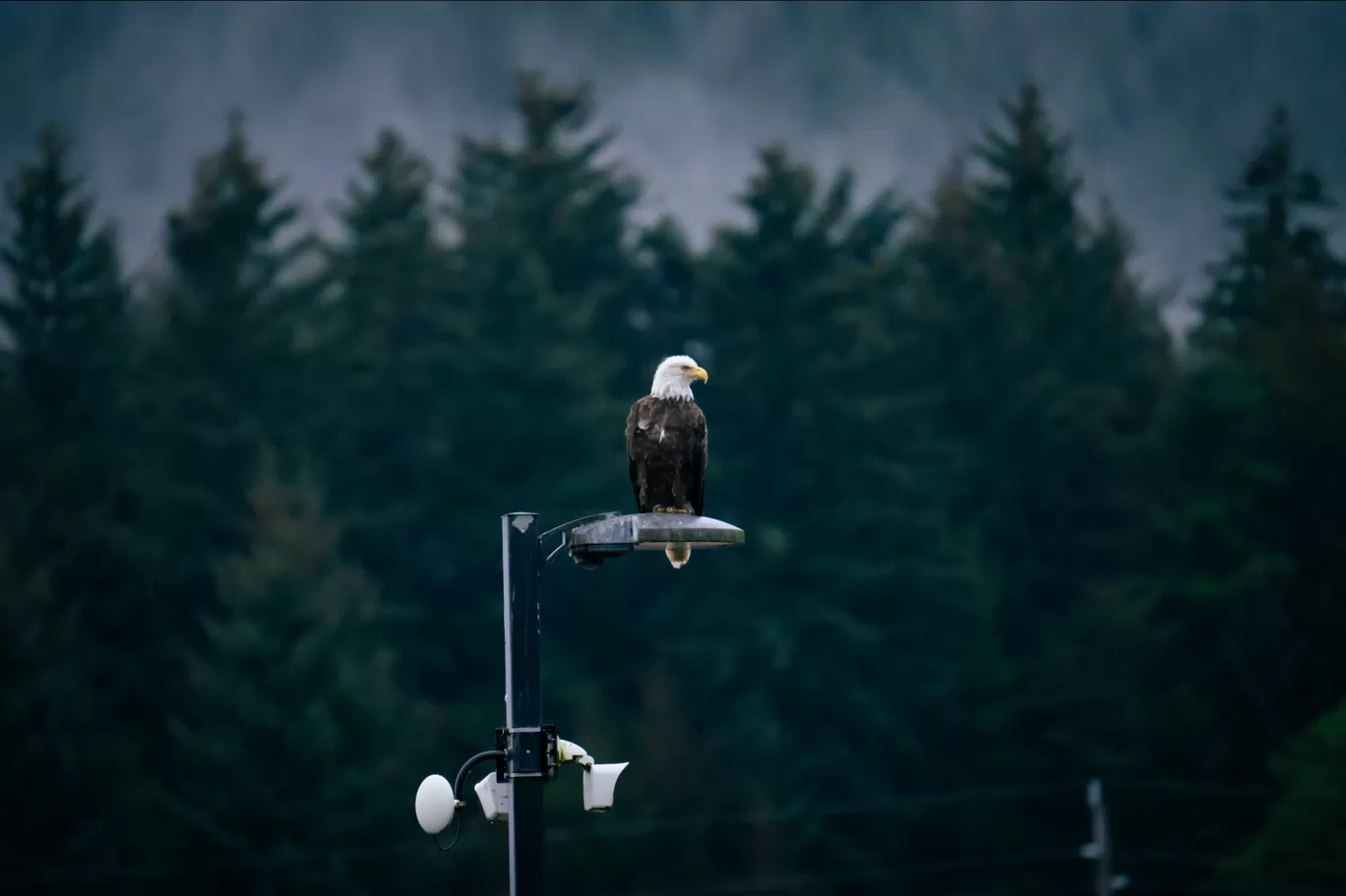 Photo of Juneau By Jim Dias