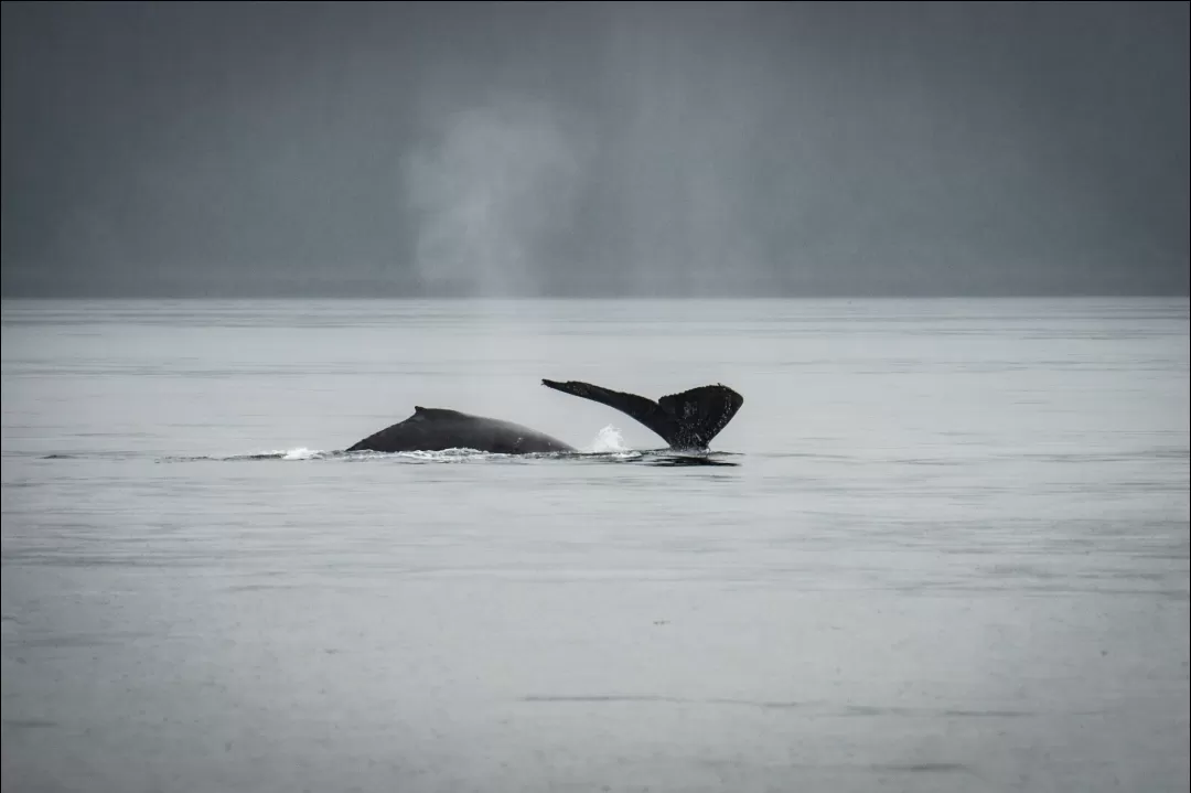 Photo of Juneau By Jim Dias