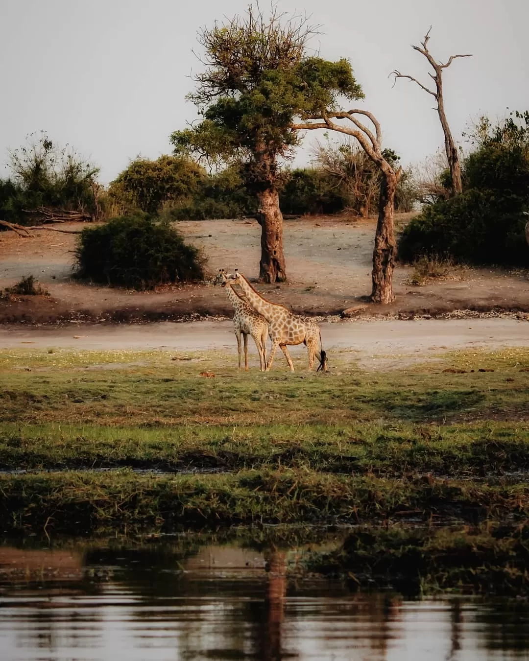 Photo of Botswana By therutulshah