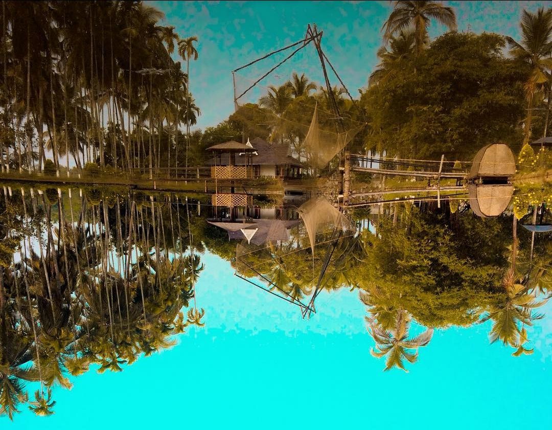 Photo of Mango County By Ajay Prakash Nair