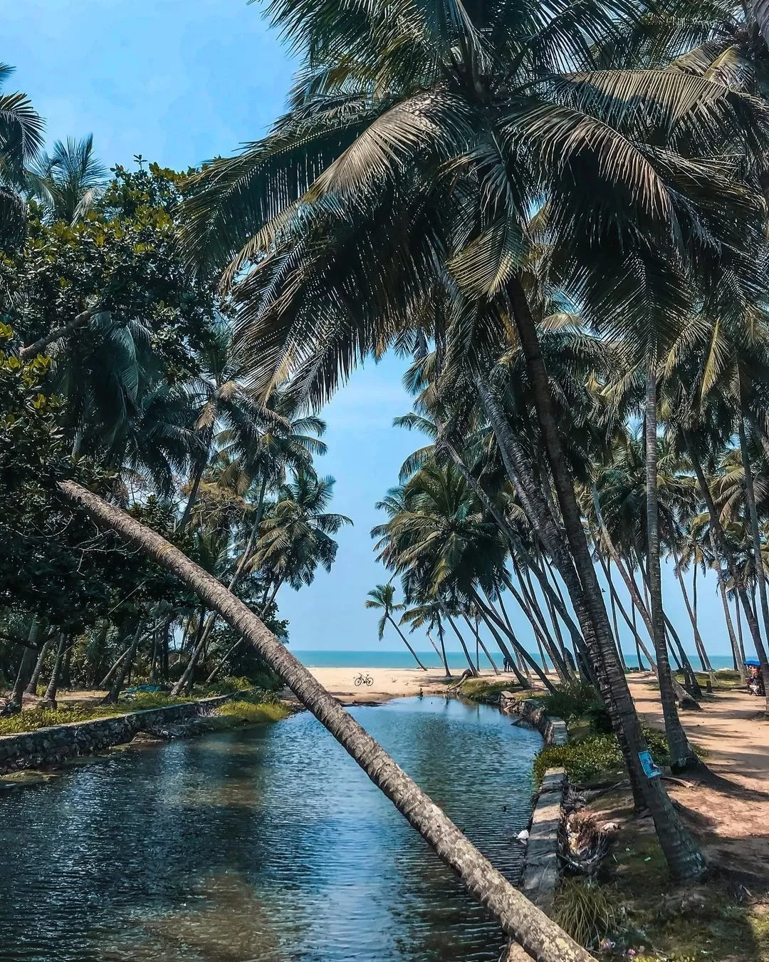 Photo of Snehatheeram Beach By Ajay Prakash Nair