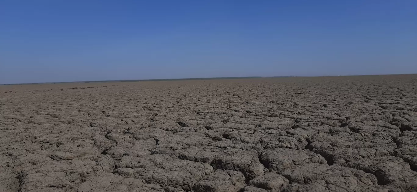 Photo of Kutch By Prajapati Jignesh