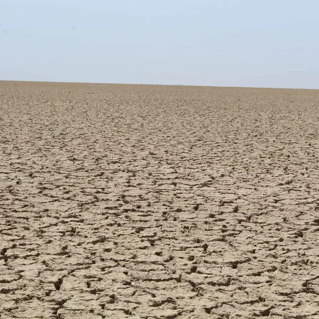 Photo of Kutch By Prajapati Jignesh