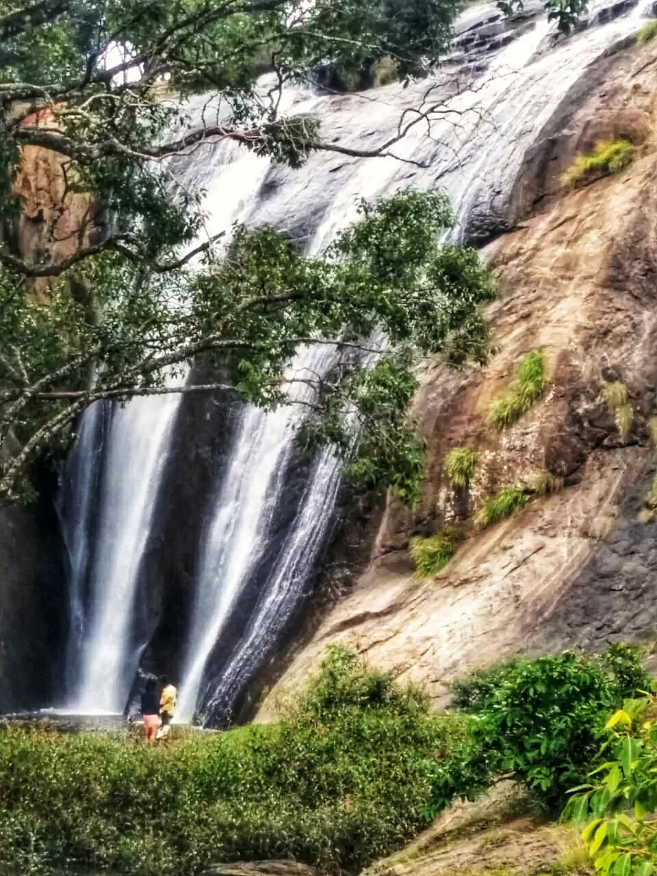 Photo of Anju Veedu water Falls (Elephant Valley water Falls) By Pinky Roy