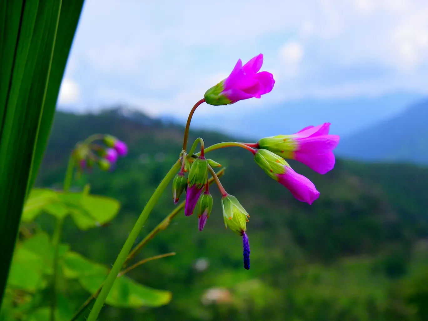 Photo of Gangolihat By yoga retreat and fitness camp
