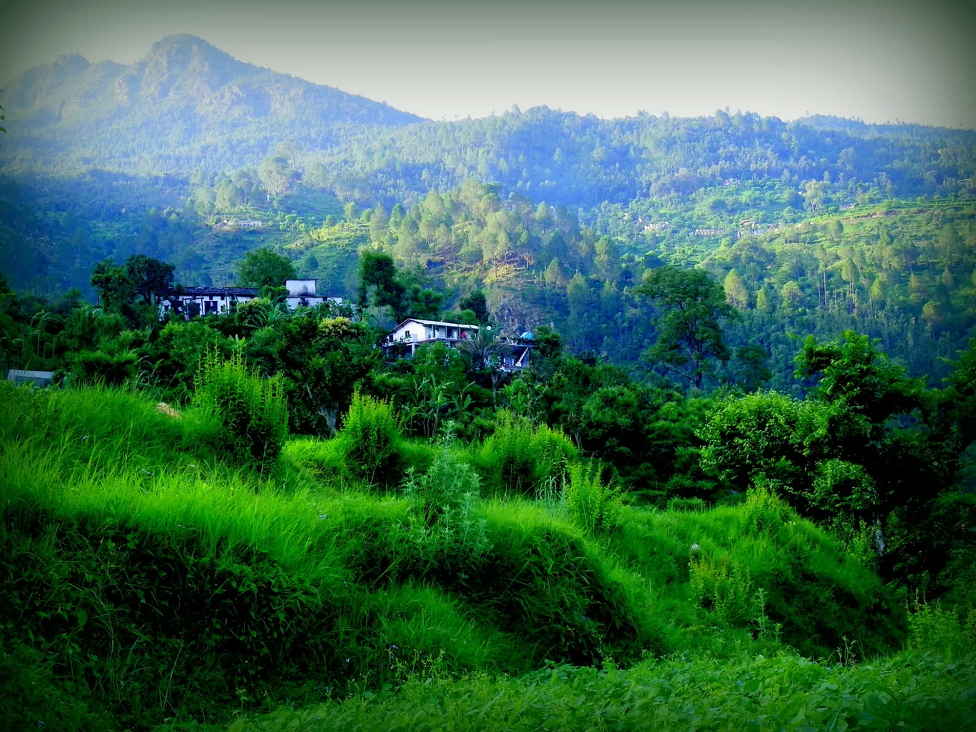 Photo of Gangolihat By yoga retreat and fitness camp