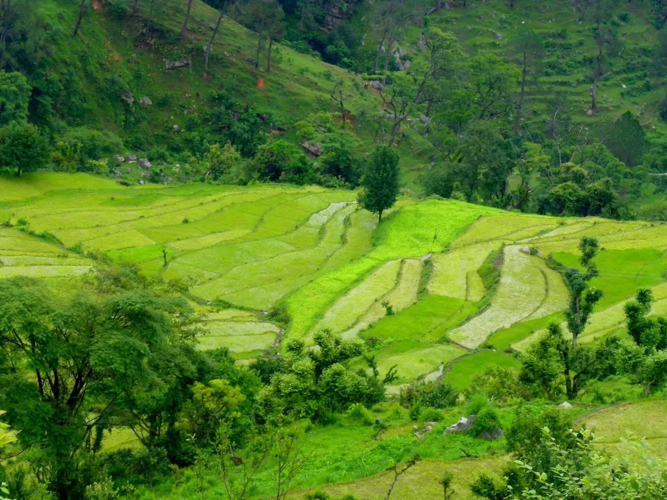 Photo of Gangolihat By yoga retreat and fitness camp