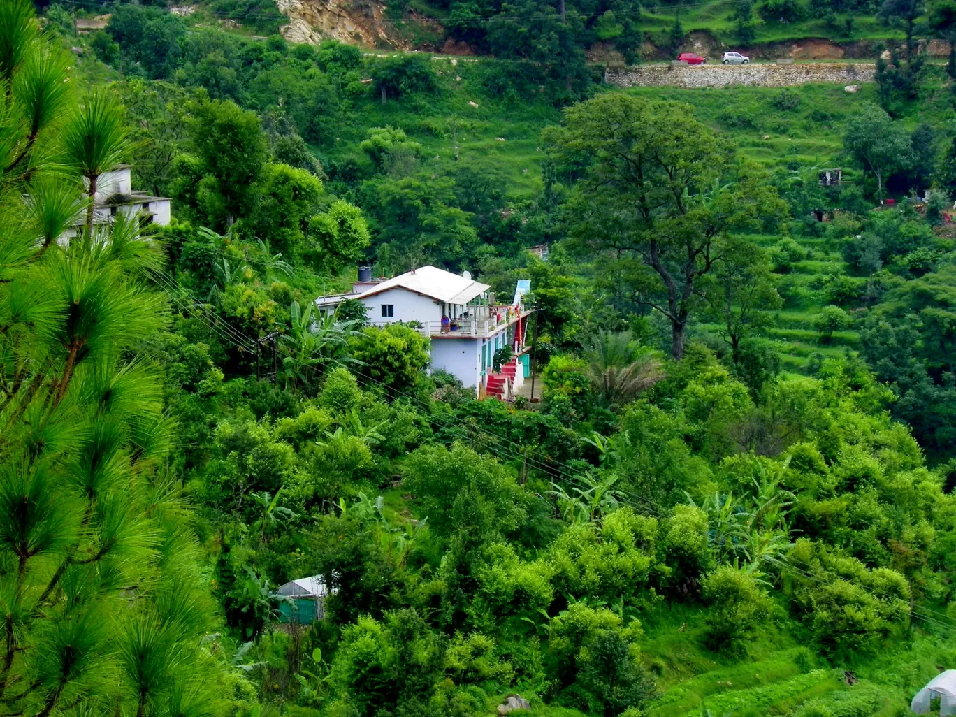 Photo of Gangolihat By yoga retreat and fitness camp