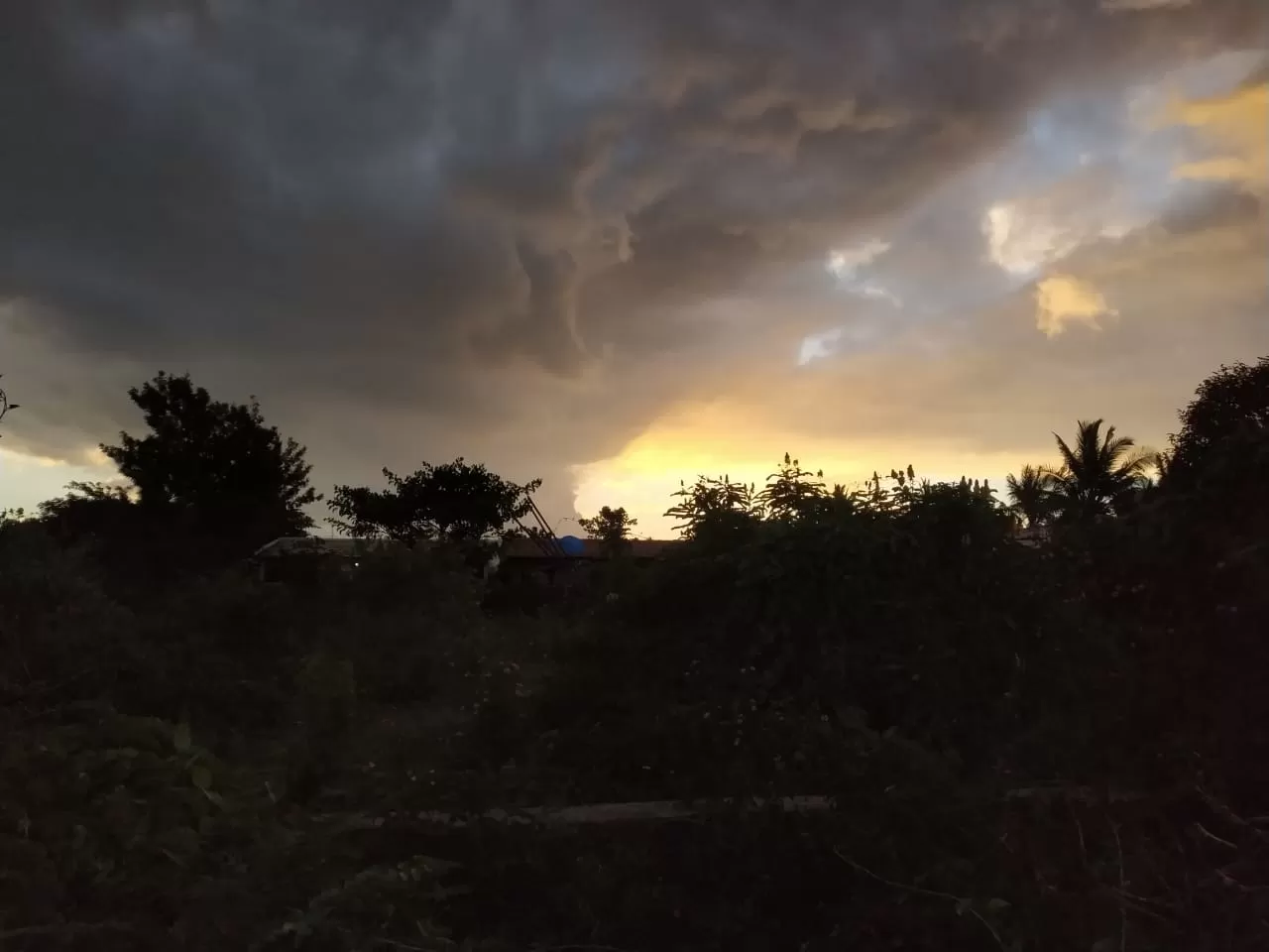 Photo of Masinagudi By Shubham Garg