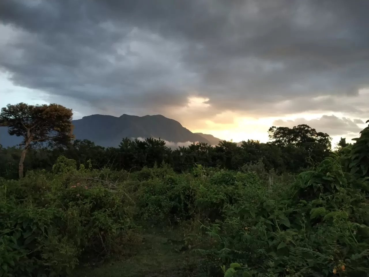 Photo of Masinagudi By Shubham Garg