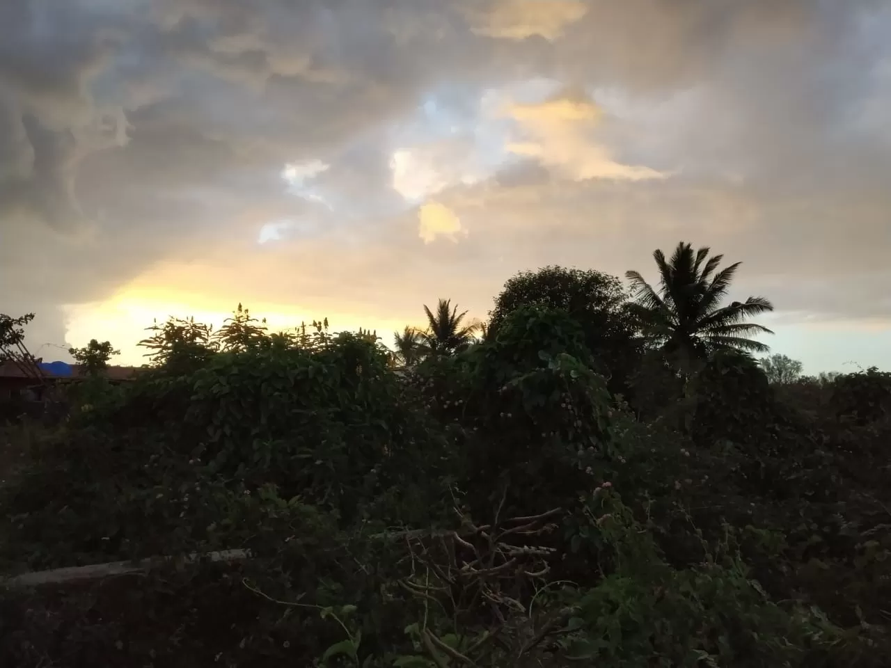 Photo of Masinagudi By Shubham Garg
