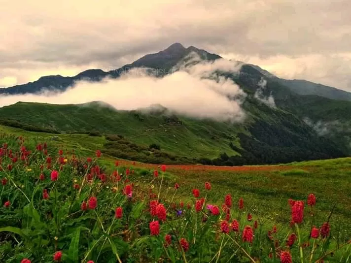 Photo of Uttarakhand 246401 By Prabhat Singh Himalaya