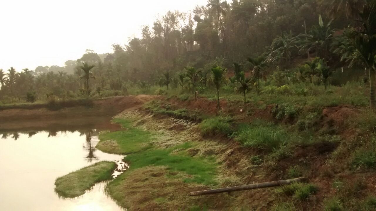 Photo of Ride to Coorg By Prashant Tyagi