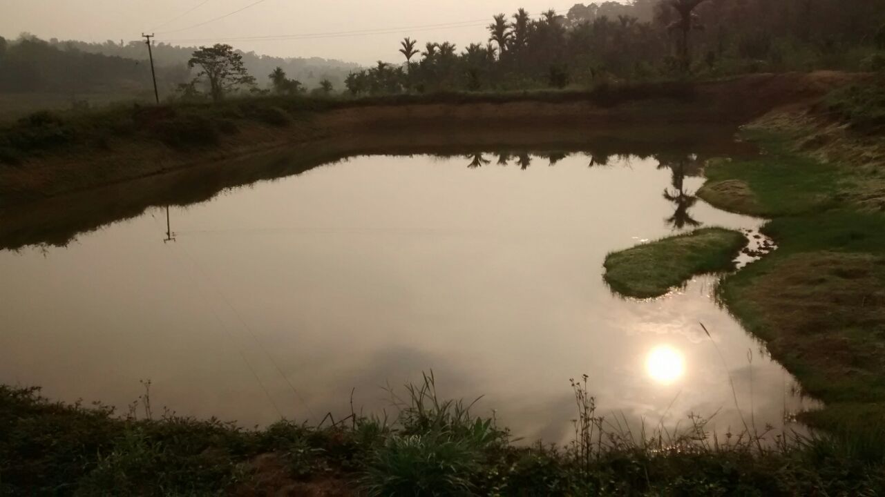 Photo of Ride to Coorg By Prashant Tyagi