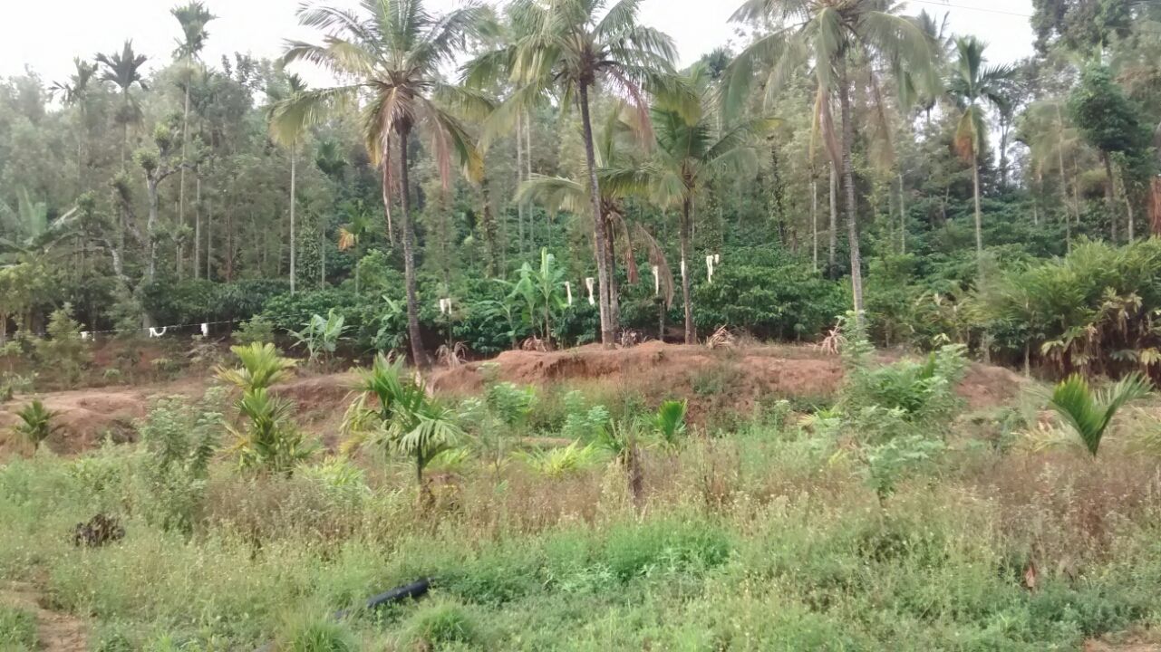 Photo of Ride to Coorg By Prashant Tyagi