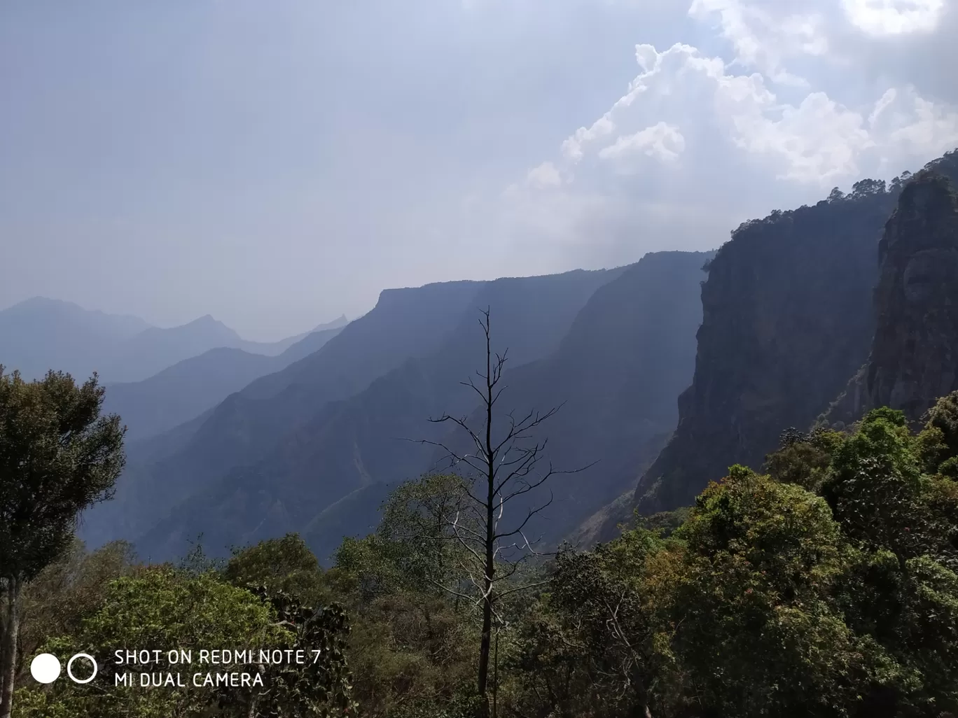 Photo of Kodaikanal By Sachin Mathew Naithelloor