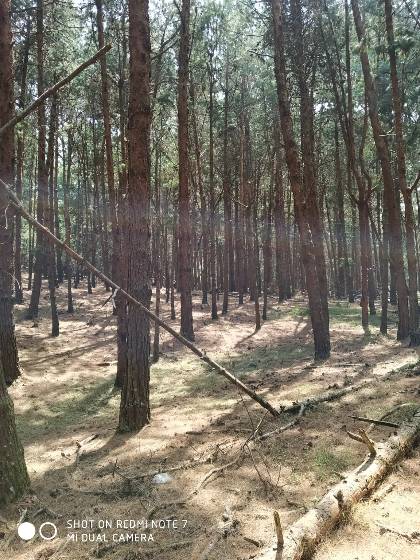 Photo of Kodaikanal By Sachin Mathew Naithelloor