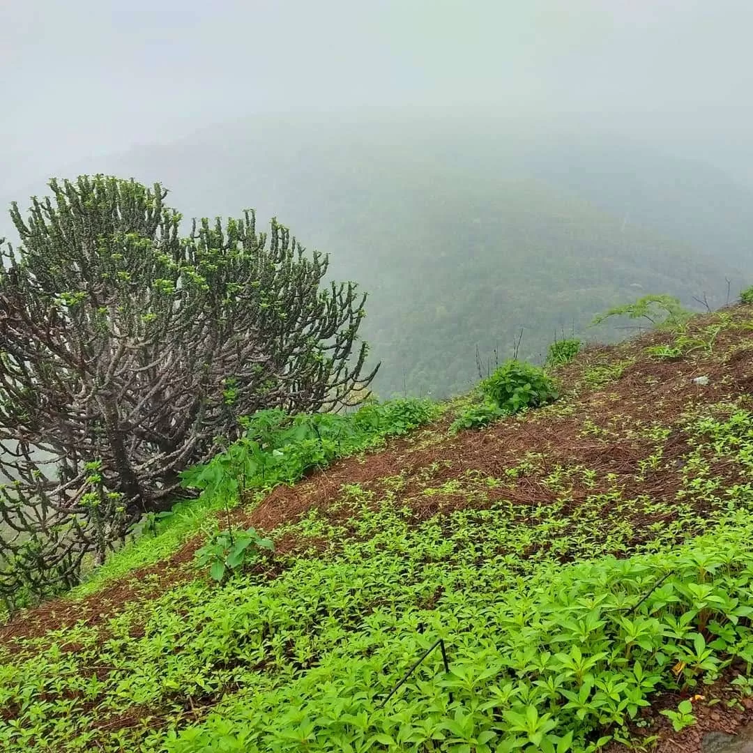Photo of Kaldurg Fort By Sunil Shinde