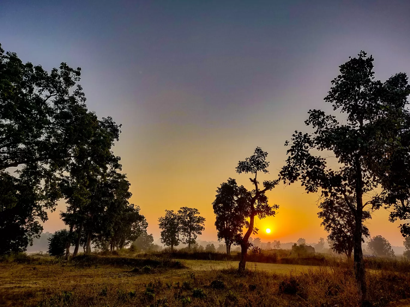 Photo of Tatanagar Junction By The Mintwheels