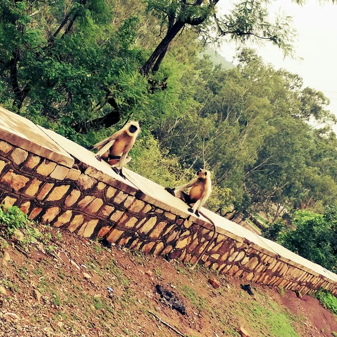 Photo of India By Sudipta Mazumdar