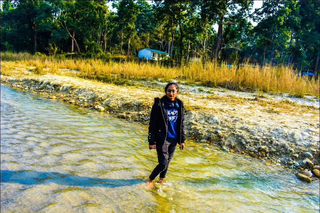 Photo of Valmiki Tiger Reserve By Nupur