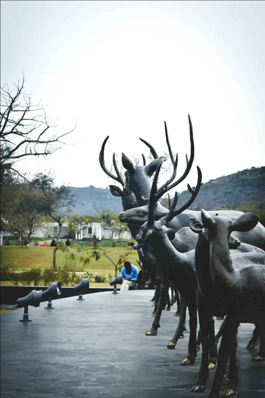 Photo of Rajgir By Nupur