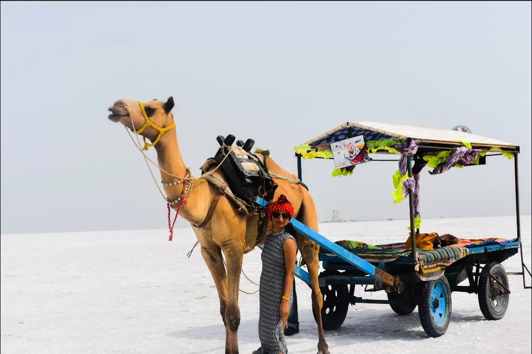 Photo of Rann of Kutch By Nupur