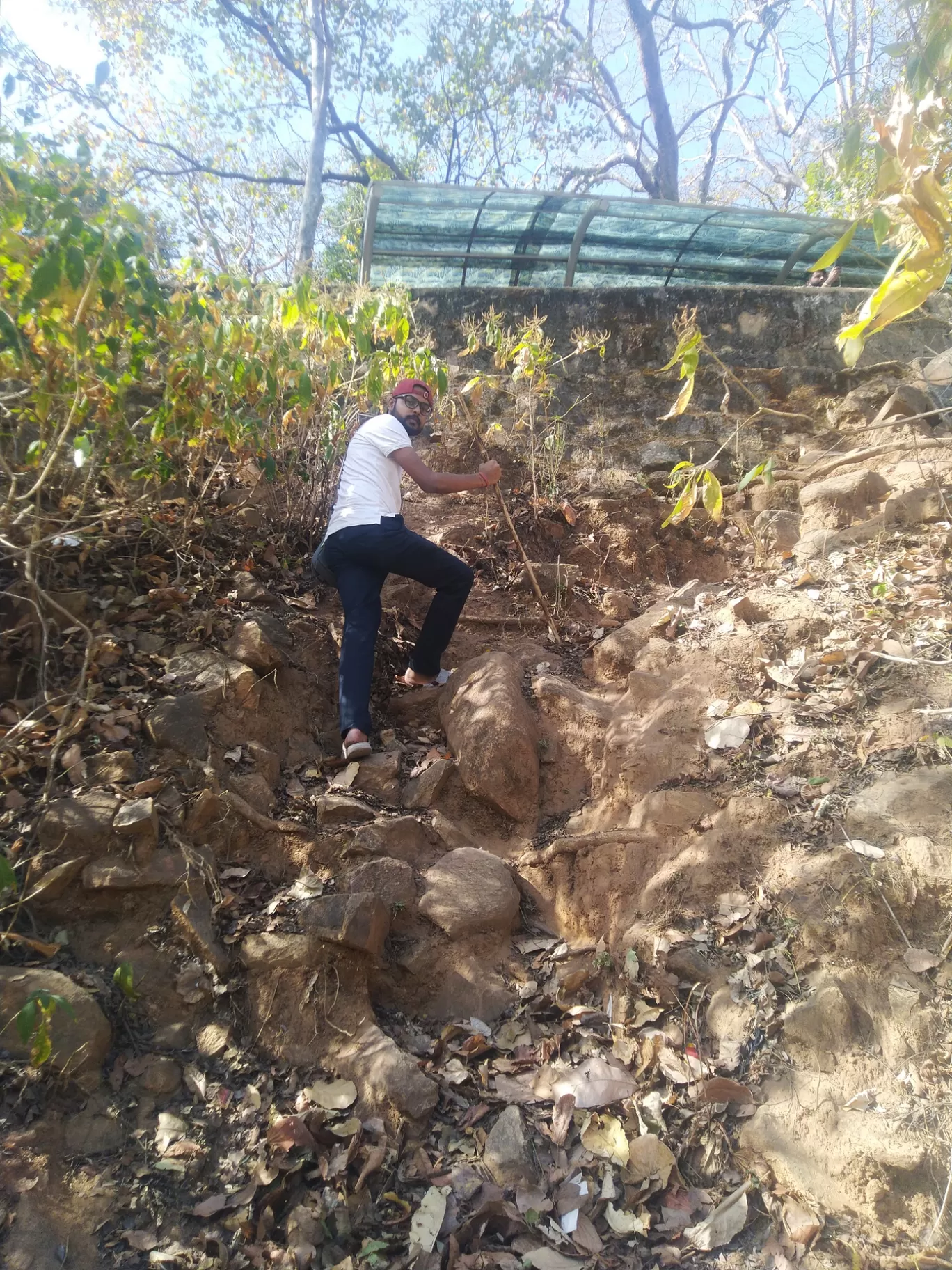 Photo of Parasnath By raVi