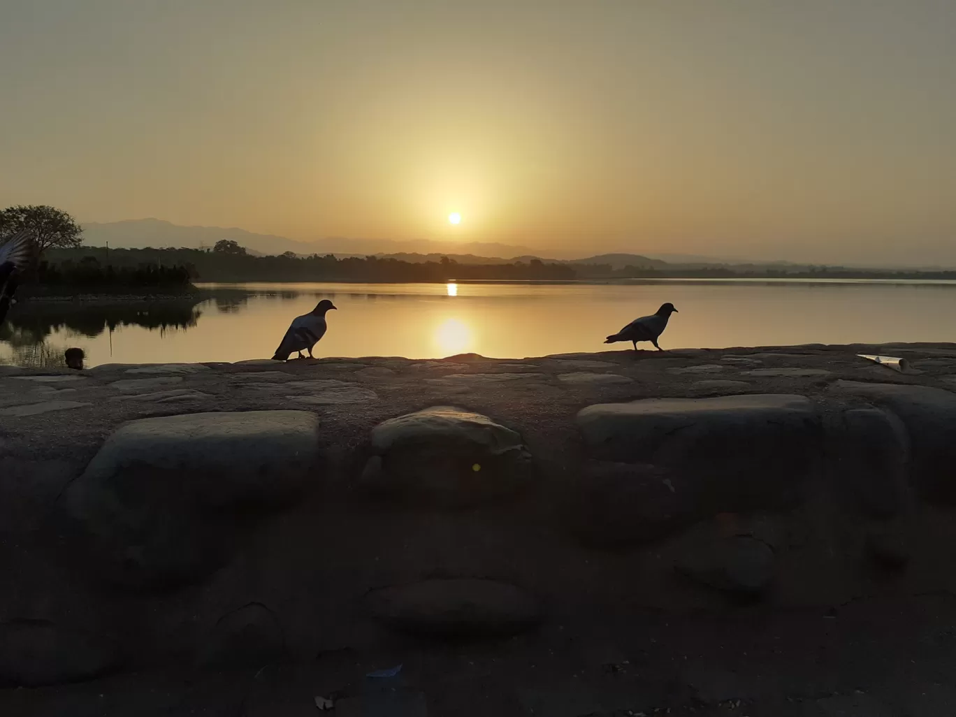 Photo of Sukhna Lake By RanDhir Singh Wander