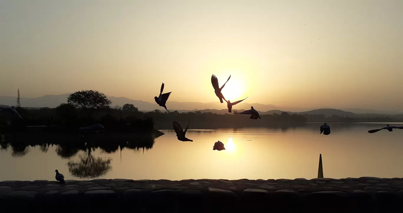 Photo of Sukhna Lake By RanDhir Singh Wander