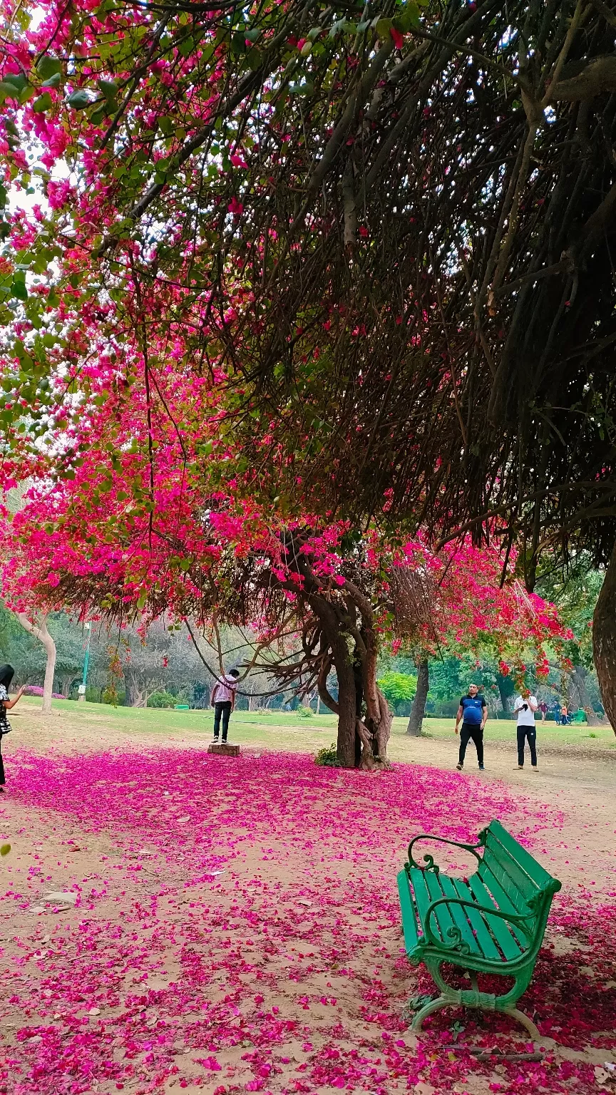 Photo of Lodhi Garden By LifeofaTravelGirl