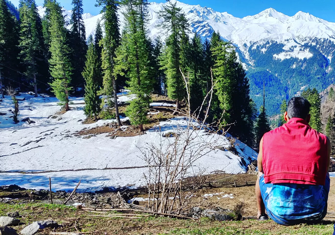 Photo of Kutla By Yogesh Bhardwaj