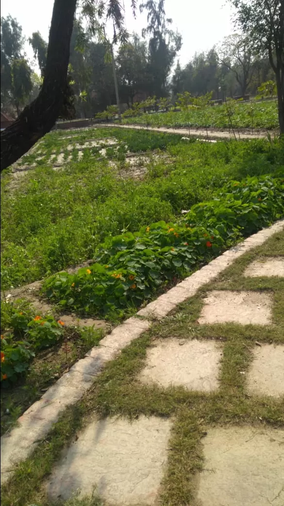 Photo of Deeg By Yogesh Bhardwaj