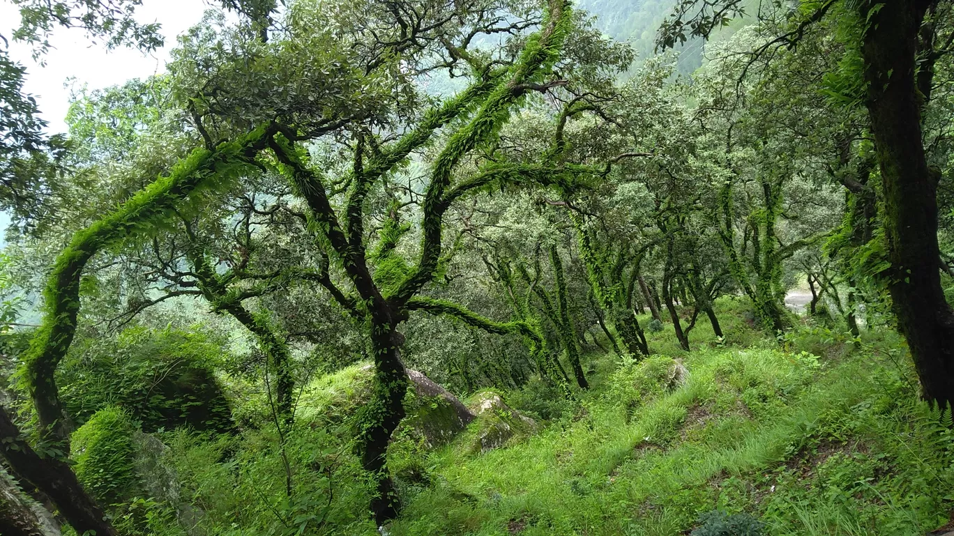 Photo of Lansdowne By Yogesh Bhardwaj