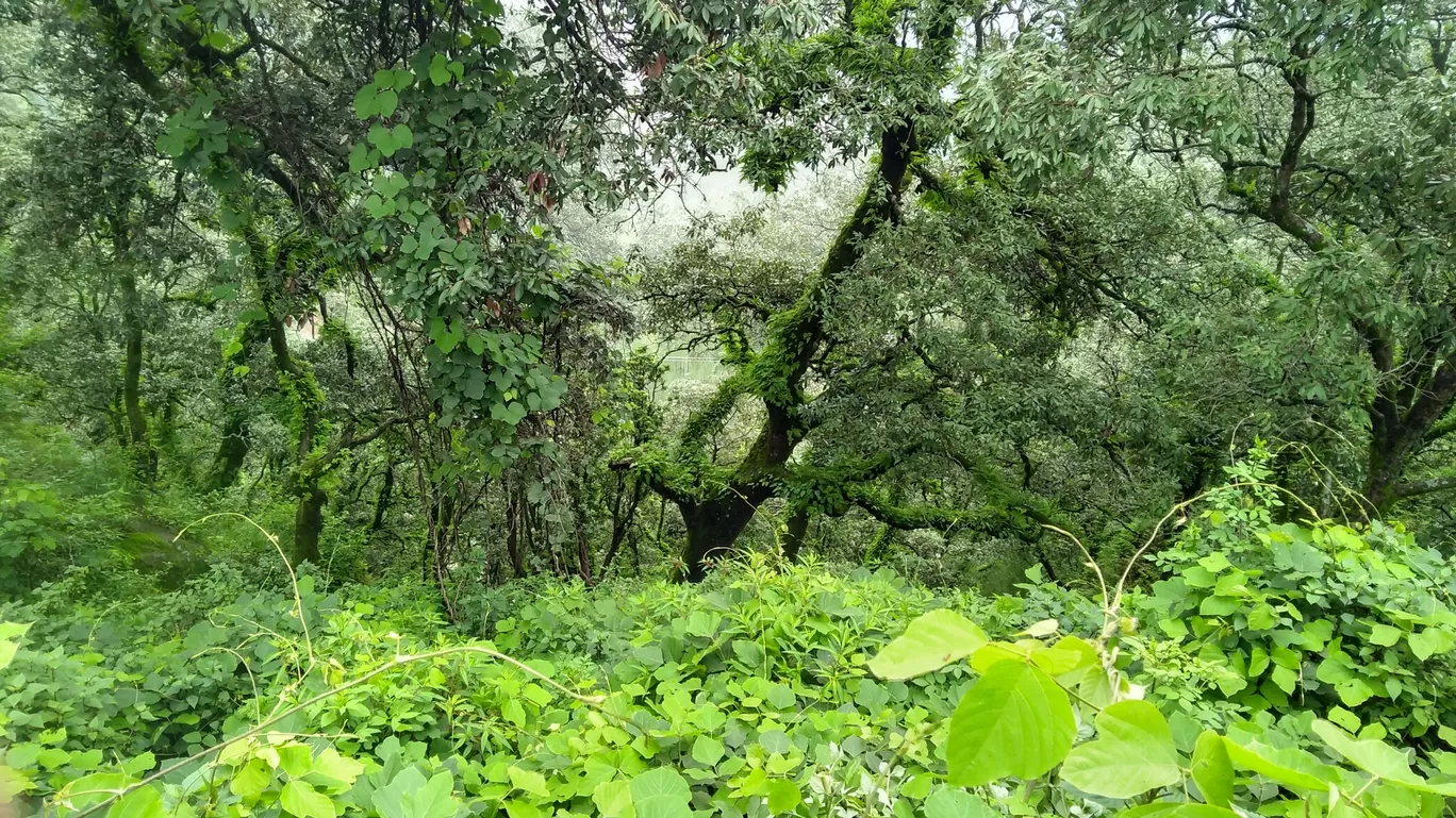 Photo of Lansdowne By Yogesh Bhardwaj