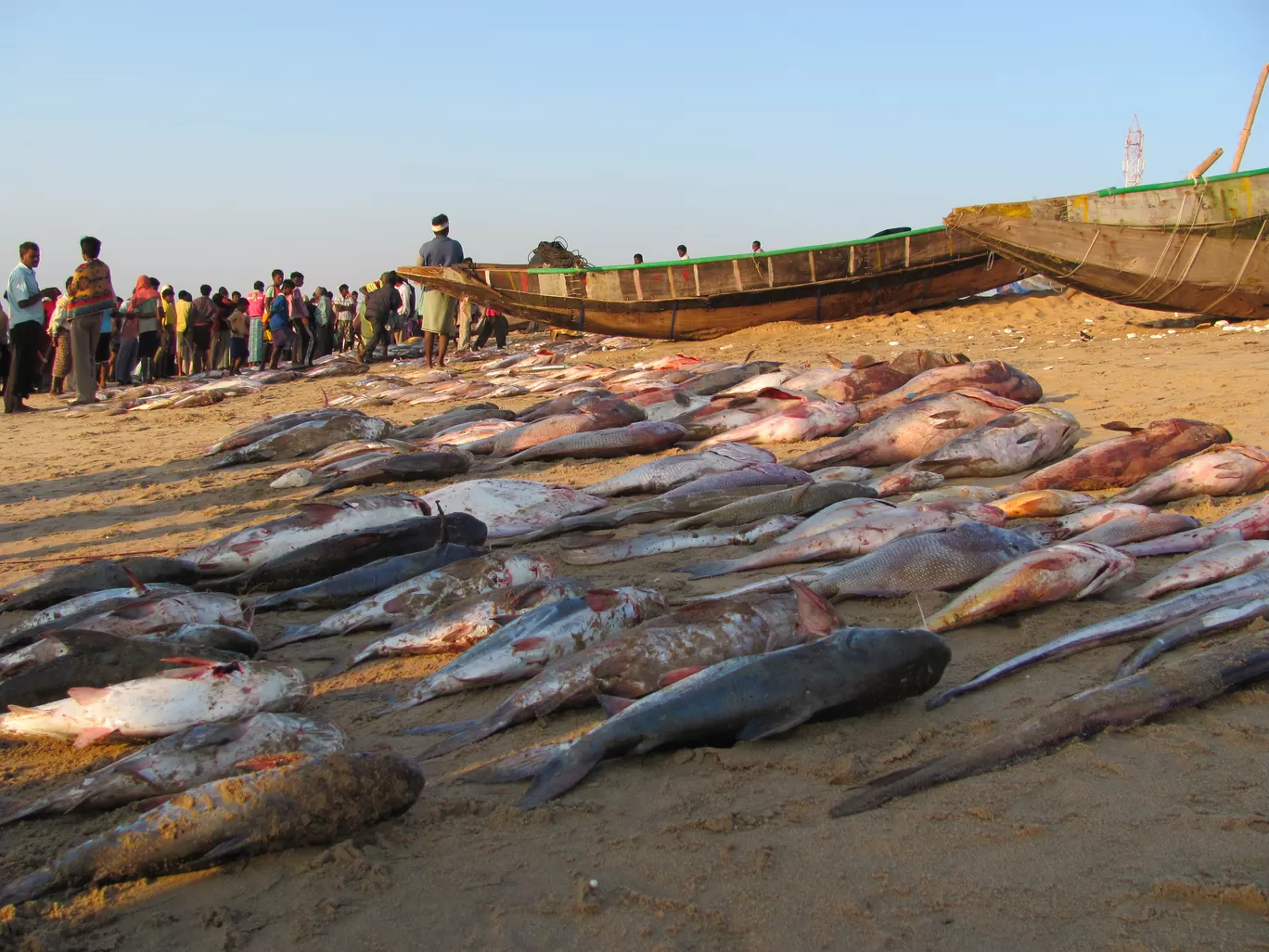 Photo of Gopalpur By Sukanta Barari