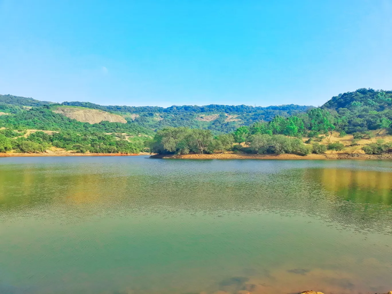 Photo of Bhushi Dam By Vaibhavi Mahajan