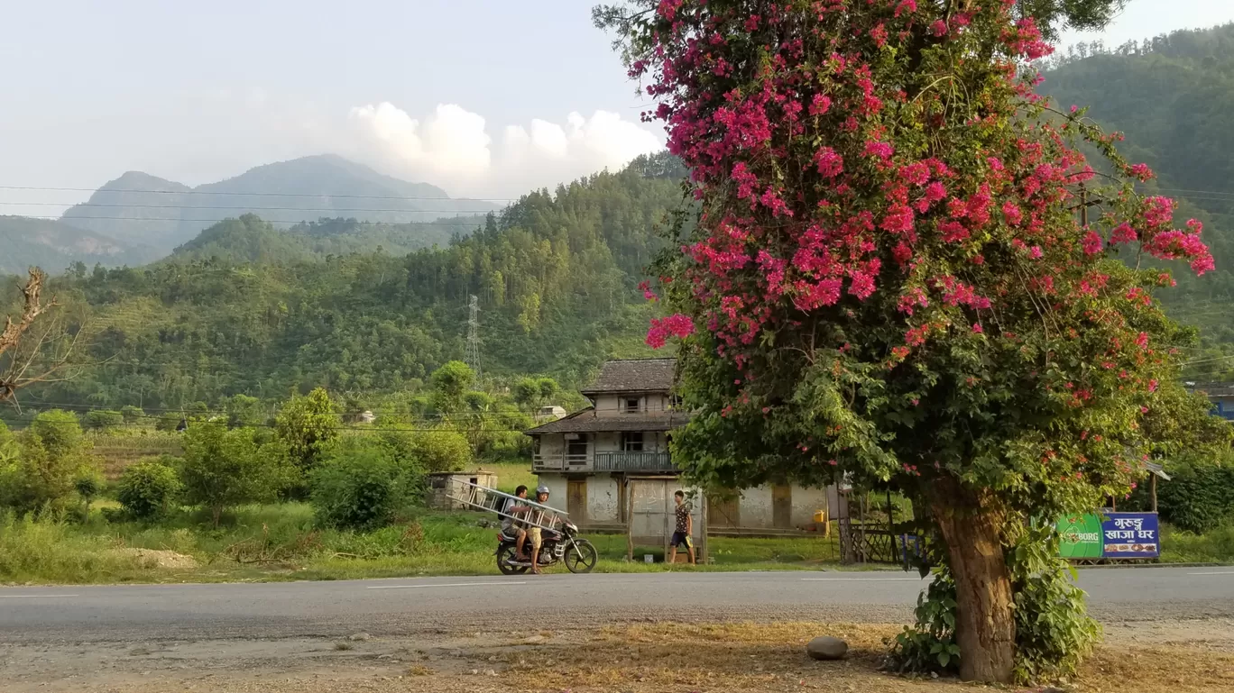 Photo of Annapurna Conservation Area Project Office lwang By Rahul Gyawali