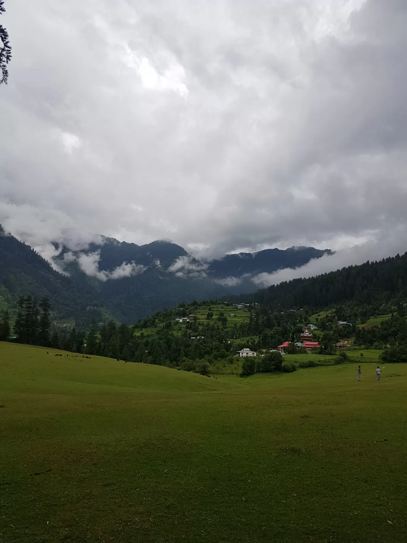 Photo of Sainj By Harman Kohli