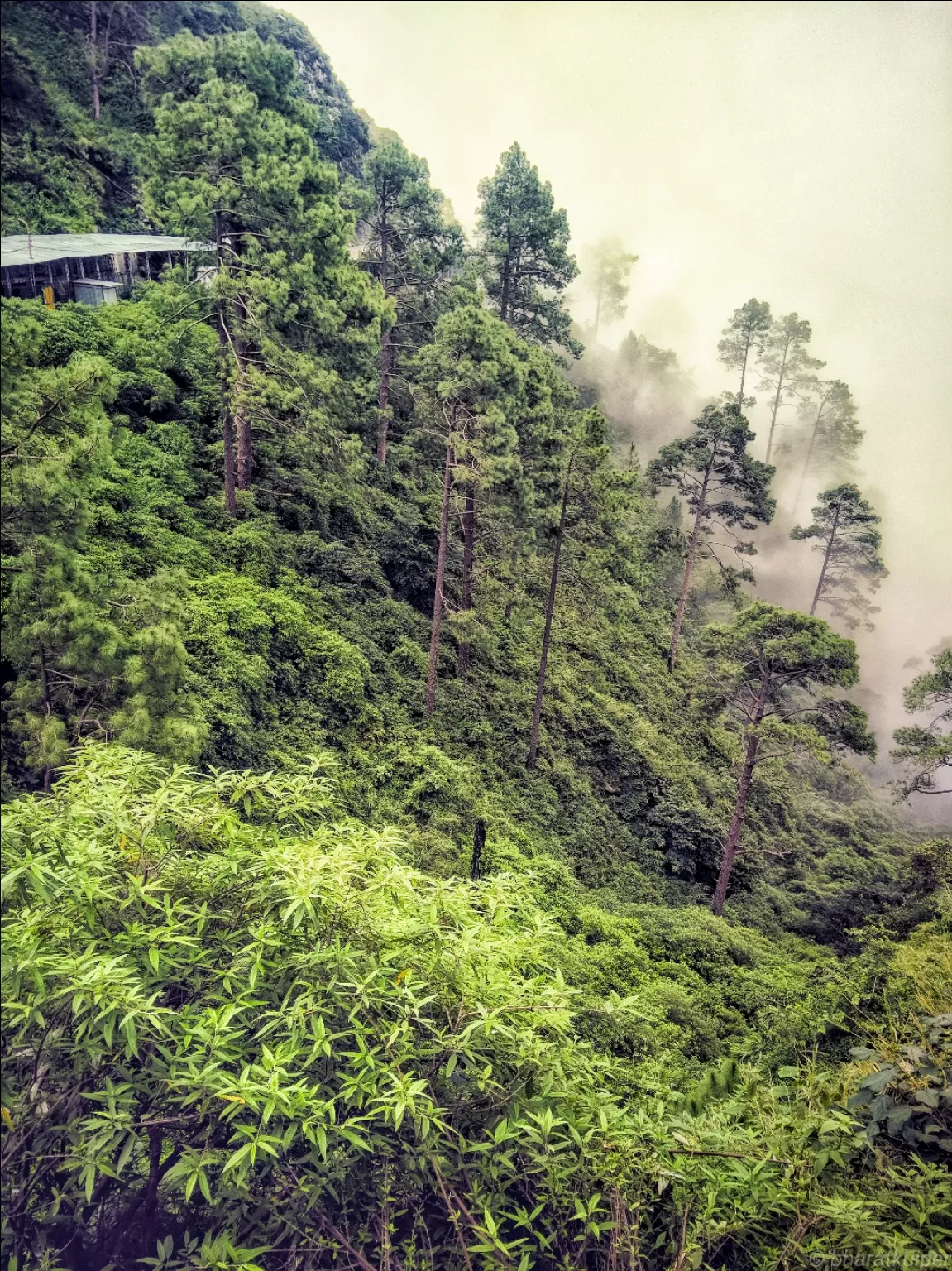 Photo of Jammu Tawi By Bharat