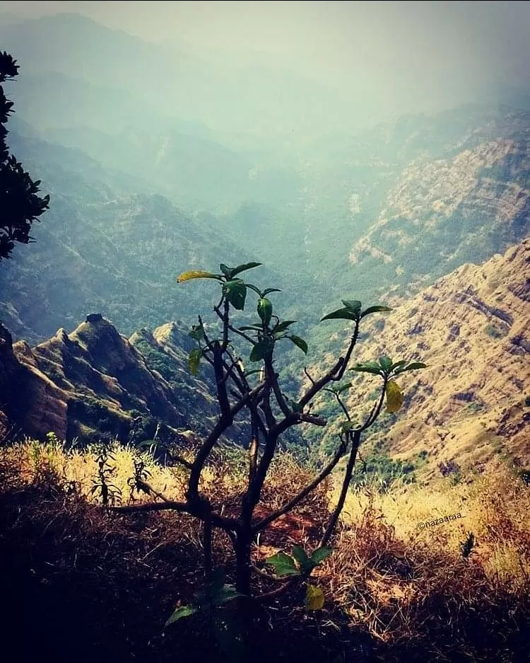 Photo of Mahabaleshwar By Rishabh Giri 