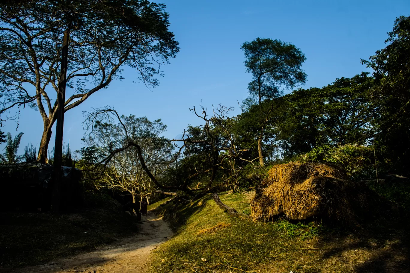 Photo of Chandraketugarh By Suman Paul