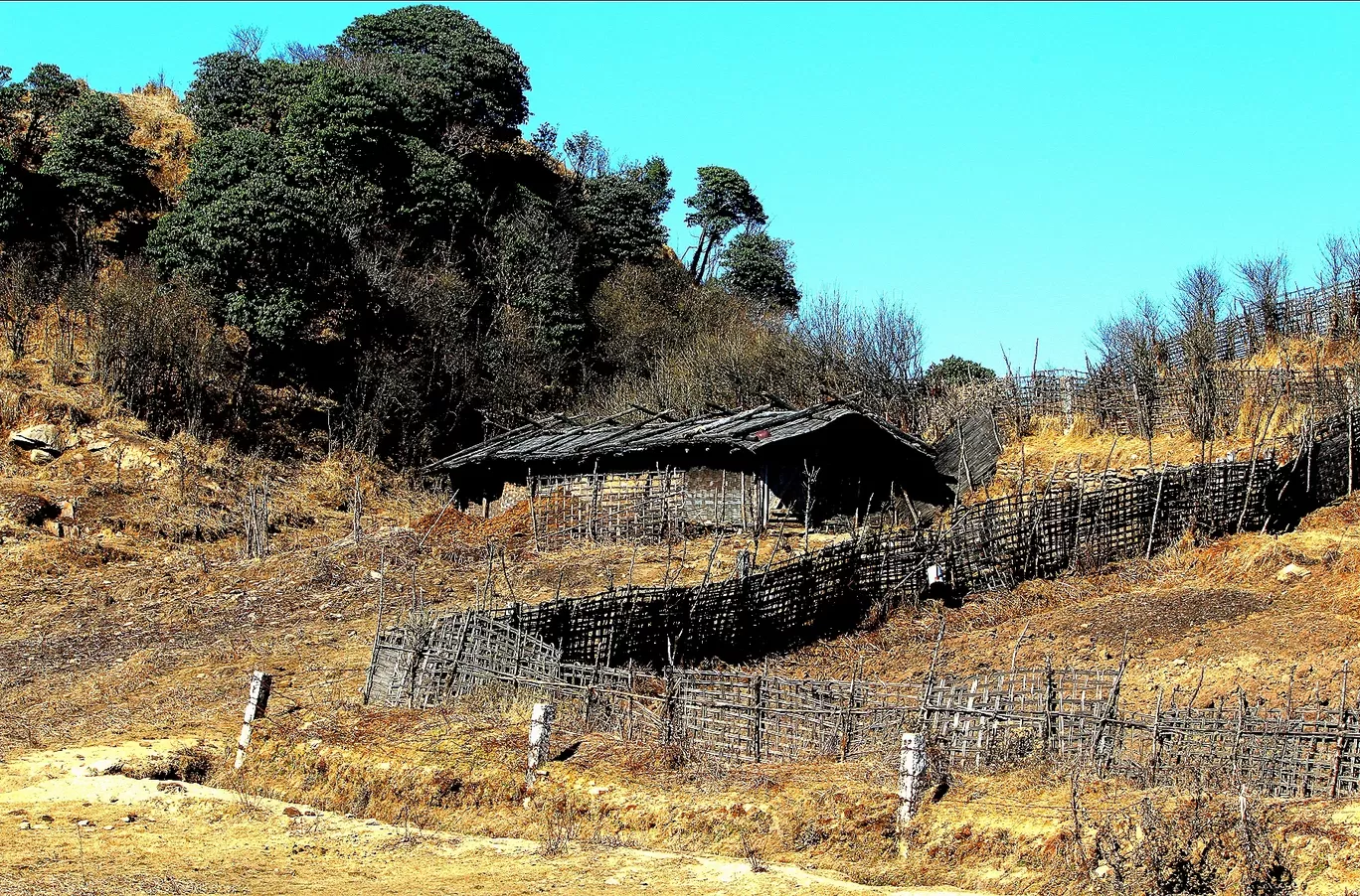 Photo of Tonglu By Suman Paul